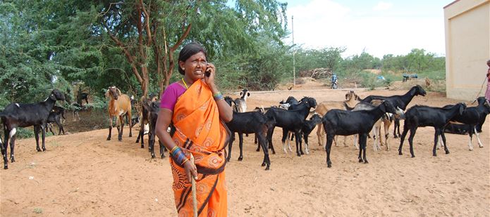 New Nutrition Knowledge Bank gives Africans and Asians direct access to expert nutritional advice on their mobile phones